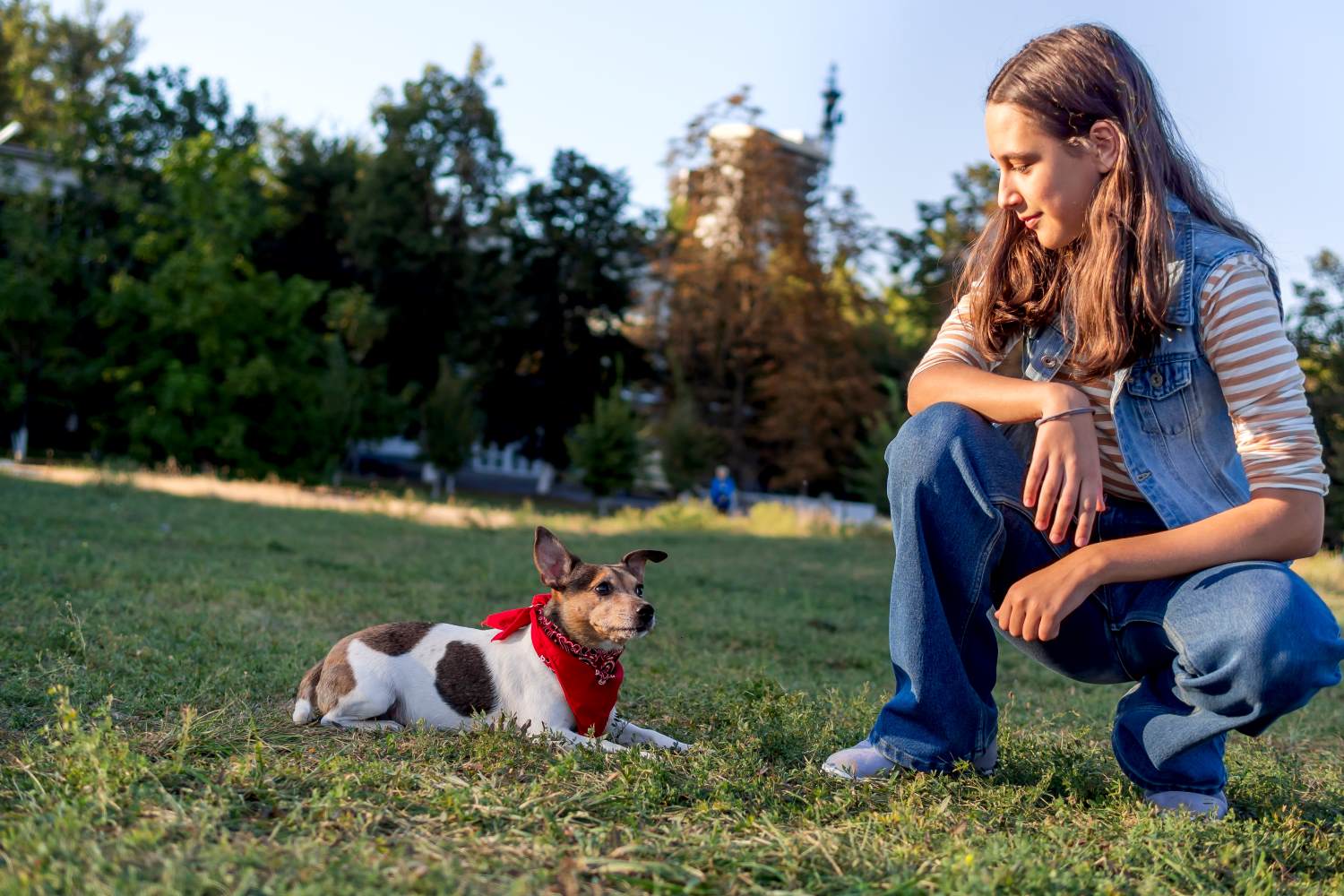 a-teenage-girl-trains-a-cute-pet-dog-jack-russell-2023-11-27-04-52-21-utc.jpg
