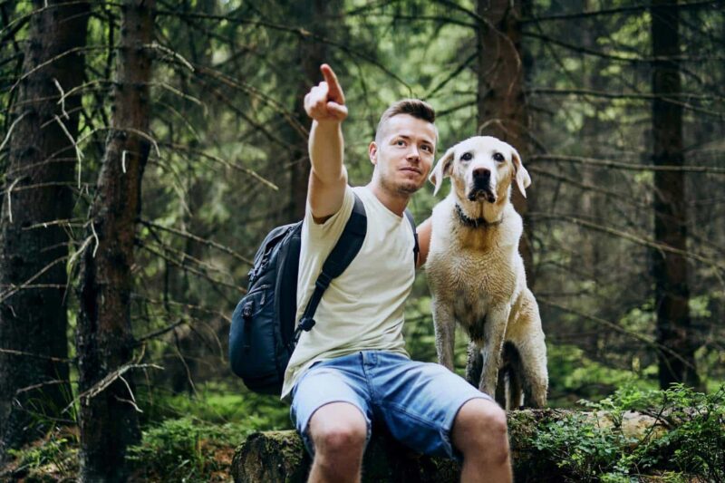 up-hiker-with-dog-in-forest-man-and-his-labrador-ret-2023-11-27-05-28-47-utc-800x533_1.jpg
