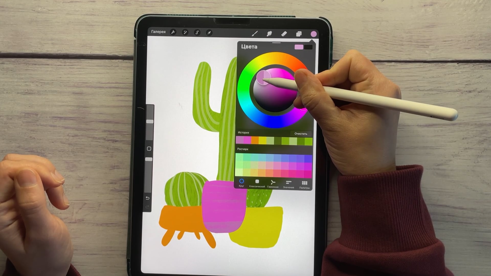 Cacti_Procreate_Thumbnail.jpg