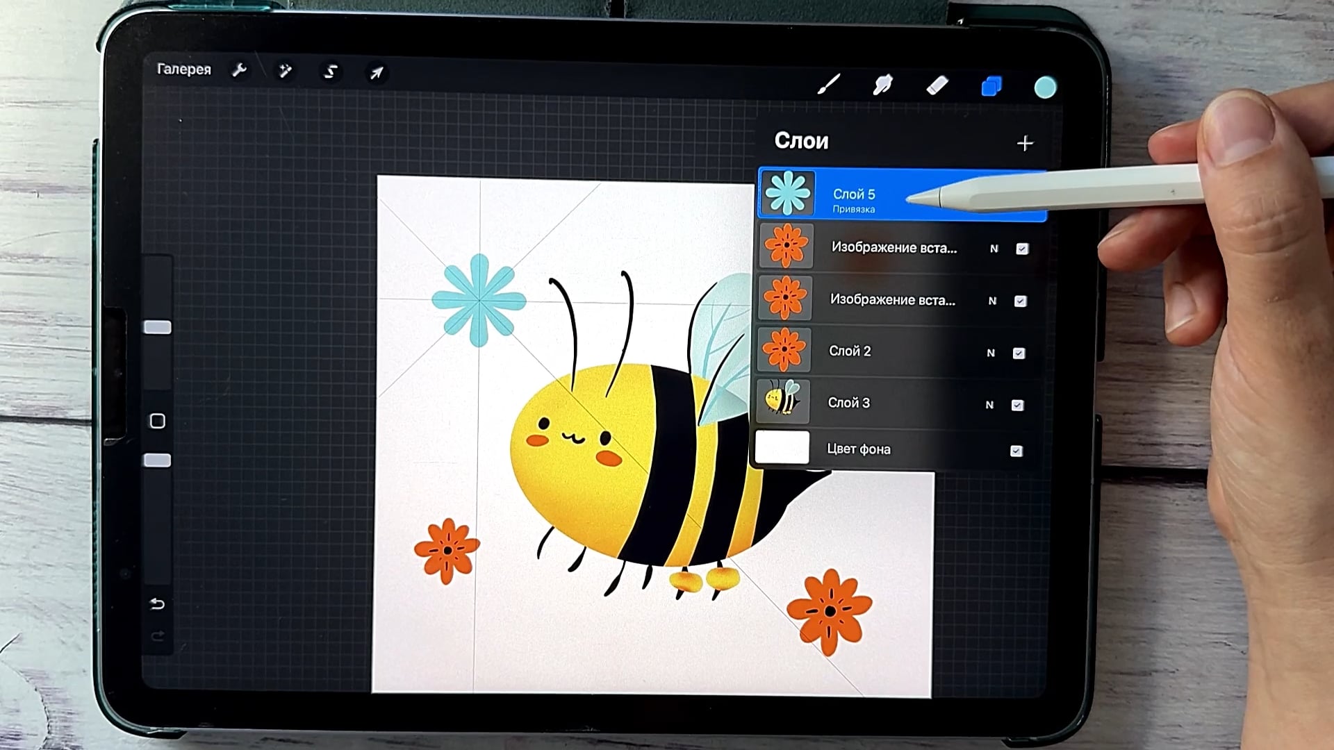 Bee_Drawing_Symmetry_Transparency.jpg